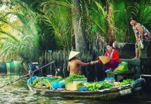 Loại hình du lịch nổi tiếng của Cần Thơ là gì? Loại hình du lịch nổi tiếng của Cần Thơ là gì?