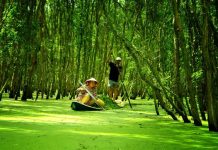 Du lịch miền Tây hấp dẫn 2025 du lịch mien tay