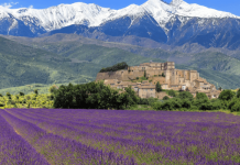 Đắm mình trước vẻ đẹp thơ mộng đầy lãng mạn của vùng Provence nước Pháp Đắm mình trước vẻ đẹp thơ mộng đầy lãng mạn của vùng Provence nước Pháp