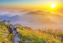 Du lịch Đài Loan: chiêm ngưỡng vẻ đẹp tiên cảnh của núi A Lý Sơn Du lịch Đài Loan: chiêm ngưỡng vẻ đẹp tiên cảnh của núi A Lý Sơn