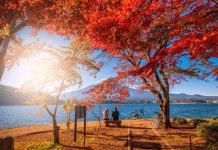 Vẻ đẹp thơ mộng đầy lãng mạn của hồ Kawaguchi nổi tiếng Nhật Bản Vẻ đẹp thơ mộng đầy lãng mạn của hồ Kawaguchi nổi tiếng Nhật Bản