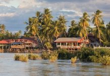 Du lịch đảo Si Phan Don Lào, nơi thư giãn lý tưởng hoang sơ và yên bình Du lịch đảo Si Phan Don Lào, nơi thư giãn lý tưởng hoang sơ và yên bình